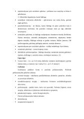 Alkoholizmas ir alkoholikas 7 puslapis