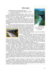 Alternatyvieji energijos šaltiniai bei jų panaudojimas Lietuvoje 11 puslapis