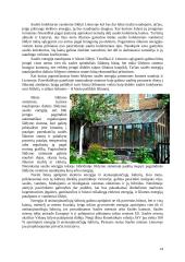 Alternatyvieji energijos šaltiniai bei jų panaudojimas Lietuvoje 14 puslapis