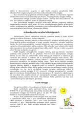 Alternatyvieji energijos šaltiniai bei jų panaudojimas Lietuvoje 3 puslapis