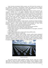 Alternatyvieji energijos šaltiniai bei jų panaudojimas Lietuvoje 5 puslapis