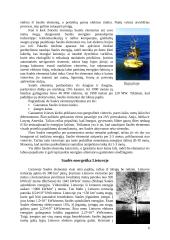 Alternatyvieji energijos šaltiniai bei jų panaudojimas Lietuvoje 6 puslapis