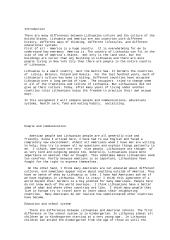 American and Lithuanian culture comparison 2 puslapis