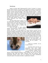 Etikos ir estetikos santykis moralės kontekste 3 puslapis