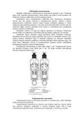 Amortizatoriai 4 puslapis