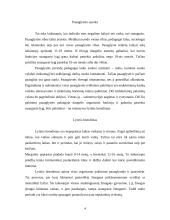 Ankstyvo lytinio gyvenimo priežastys ir pasekmės 4 puslapis