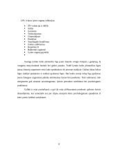 Ankstyvo lytinio gyvenimo priežastys ir pasekmės 8 puslapis