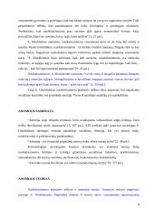 Anomijos teorija pagal E. Diurkheimą 4 puslapis