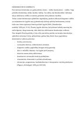 Antikinė ir šiuolaikinė demokratija