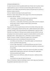 Antikinė ir šiuolaikinė demokratija 2 puslapis