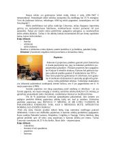 Antrinės žaliavos ir jų rūšiavimas 2 puslapis