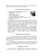 Antrinės žaliavos ir jų rūšiavimas 4 puslapis