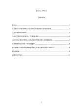 Apgyvendinimo paslaugų problemos kaimo turizmo sodybose 2 puslapis