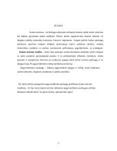 Apgyvendinimo paslaugų problemos kaimo turizmo sodybose 3 puslapis