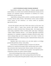 Apgyvendinimo paslaugų problemos kaimo turizmo sodybose 4 puslapis