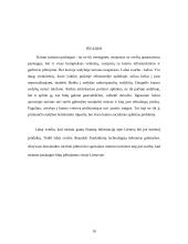 Apgyvendinimo paslaugų problemos kaimo turizmo sodybose 10 puslapis