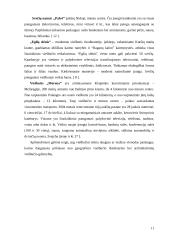 Apgyvendinimo sektoriaus rinkos dalies analizė 11 puslapis