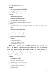 Apgyvendinimo sektoriaus rinkos dalies analizė 15 puslapis