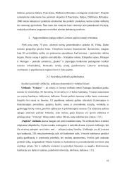 Apgyvendinimo sektoriaus rinkos dalies analizė 10 puslapis