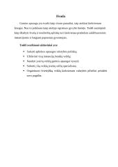 Aplinkosaugos problemos ir jų sprendimo būdai 13 puslapis