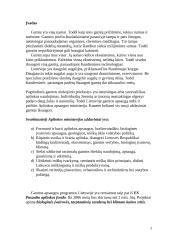 Aplinkosaugos problemos ir jų sprendimo būdai 3 puslapis