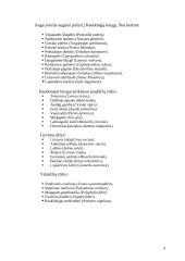 Aplinkosaugos problemos ir jų sprendimo būdai 9 puslapis