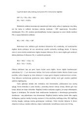 Aplinkos tarša 13 puslapis