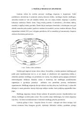 Aplinkos tarša 3 puslapis