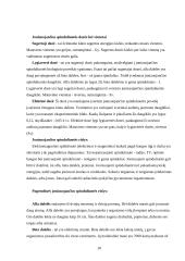 Aplinkos technologija 10 puslapis