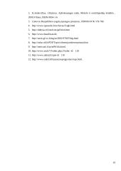 Aplinkos teršimas. Teršalų klasifikacija. Pagrindiniai taršos šaltiniai. Pagrindinės aplinkos teršimo tendencijos 19 puslapis