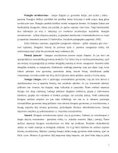 Aplinkos vaidmuo žmogaus gyvenime 4 puslapis