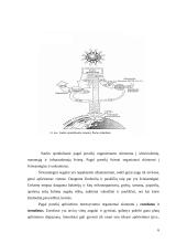 Aplinkos veiksniai ir stresoriai 6 puslapis