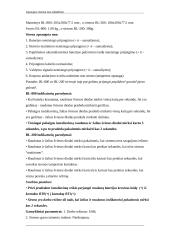 Apsaugos sistema nuo įsilaužimo 13 puslapis