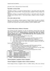 Apsaugos sistema nuo įsilaužimo 17 puslapis