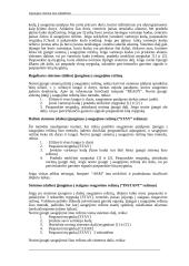 Apsaugos sistema nuo įsilaužimo 18 puslapis