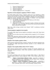 Apsaugos sistema nuo įsilaužimo 19 puslapis