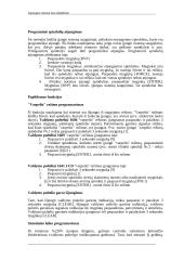 Apsaugos sistema nuo įsilaužimo 20 puslapis