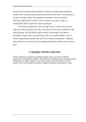 Apsaugos sistema nuo įsilaužimo 3 puslapis