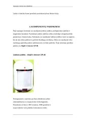 Apsaugos sistema nuo įsilaužimo 5 puslapis