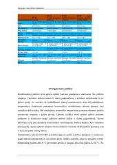 Apsaugos sistema nuo įsilaužimo 7 puslapis