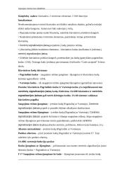 Apsaugos sistema nuo įsilaužimo 10 puslapis