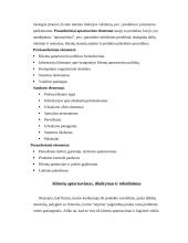 Aptarnavimo logistika 3 puslapis