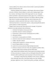 Aptarnavimo logistika 4 puslapis