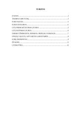 Ar verta įvesti eurą Lietuvoje? 2 puslapis