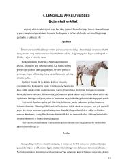 Arklių veislių įvairovė ir jų reikšmė gyvulininkystėje 11 puslapis