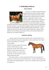 Arklių veislių įvairovė ir jų reikšmė gyvulininkystėje 15 puslapis