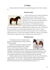 Arklių veislių įvairovė ir jų reikšmė gyvulininkystėje 16 puslapis