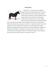 Arklių veislių įvairovė ir jų reikšmė gyvulininkystėje 17 puslapis