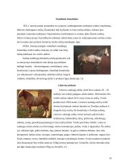 Arklių veislių įvairovė ir jų reikšmė gyvulininkystėje 19 puslapis