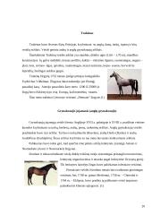 Arklių veislių įvairovė ir jų reikšmė gyvulininkystėje 20 puslapis